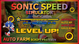 Read more about the article SONIC SPEED SIMULATOR (1)