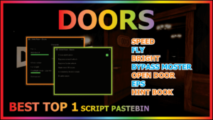 Read more about the article DOORS (BEST)