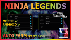 Read more about the article NINJA LEGENDS